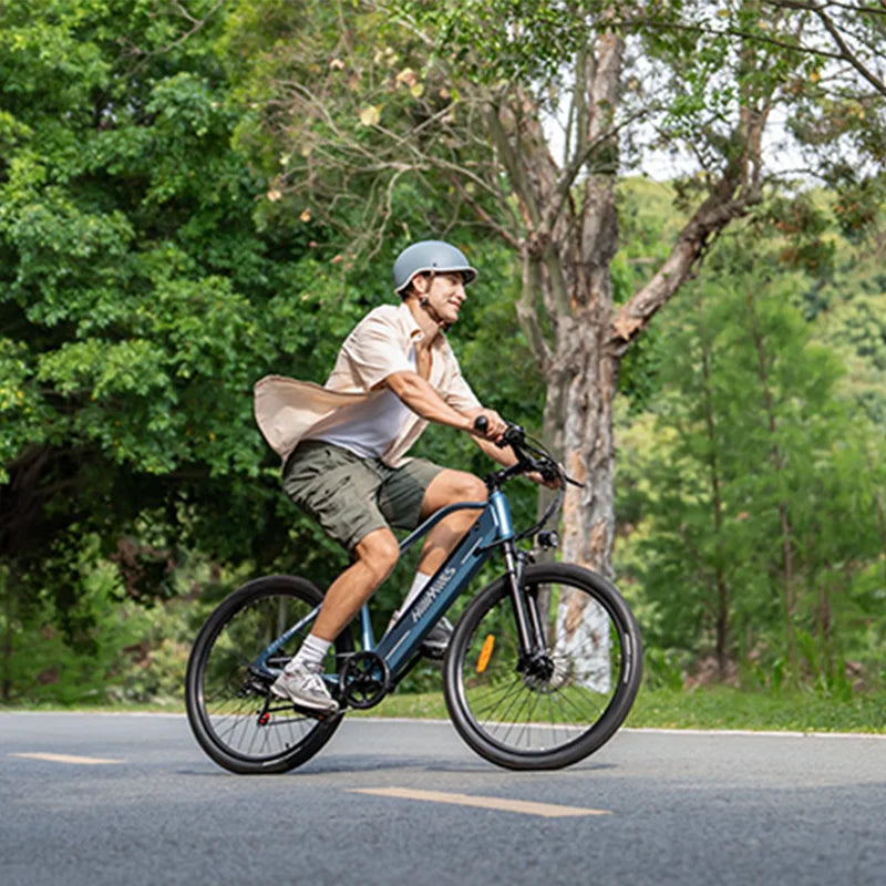 MileTrail Electric Mountain Bike