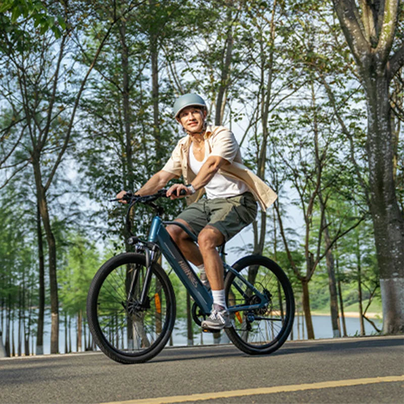 MileTrail Electric Mountain Bike