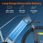 MileTrail Electric Mountain Bike